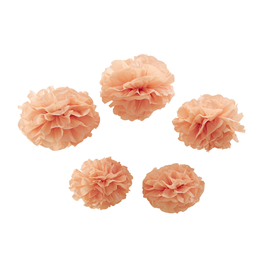 ginger-ray-tissue-paper-pom-poms-pastel-pink-pastel-perfection-pack-of-5- (1)