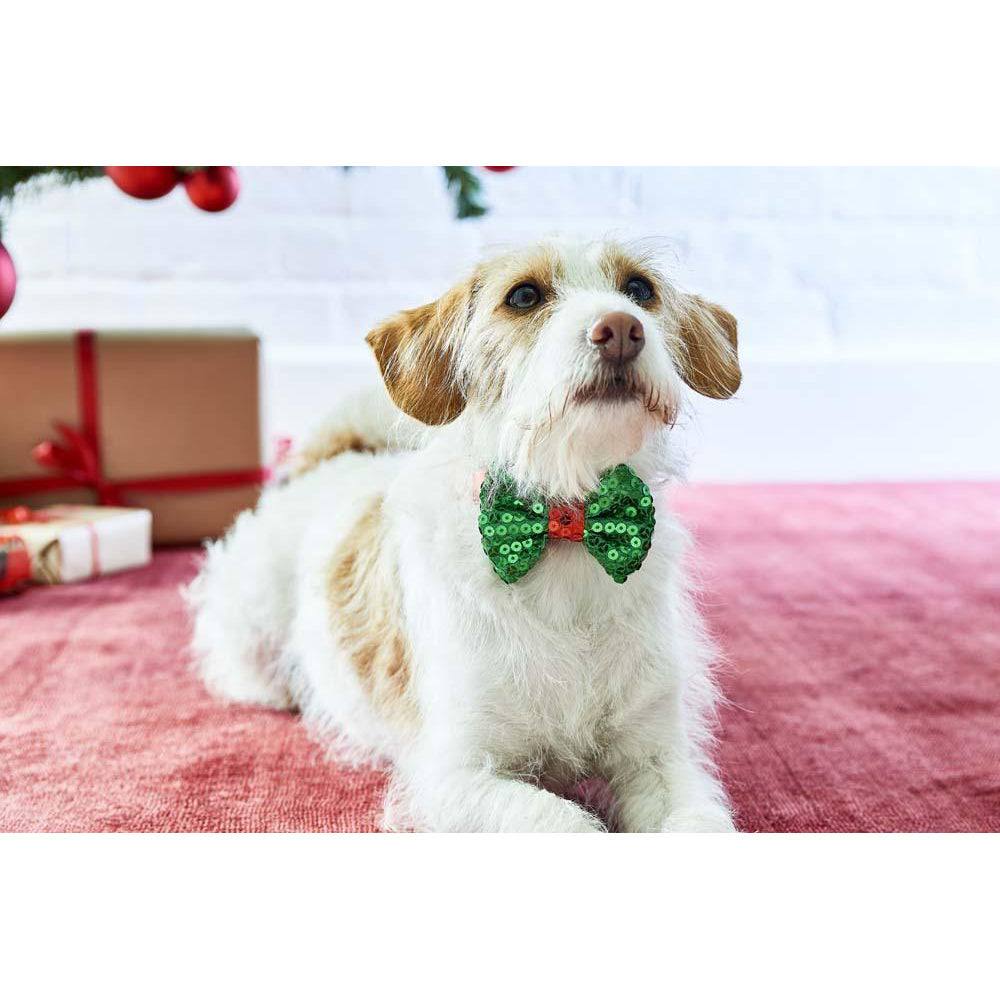 talking-tables-sequinned-christmas-dog-bow-tie-talk-5106794